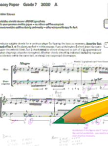 marking services grade 7